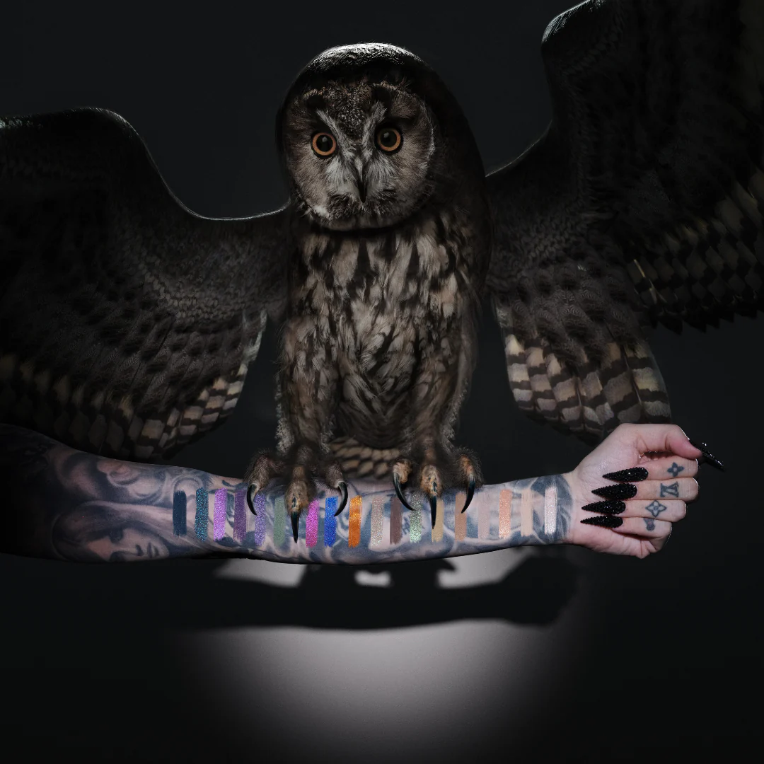 Night Owl Artistry Palette